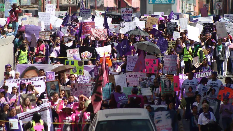 MARCHA INCLUYENTE 2026 8M
